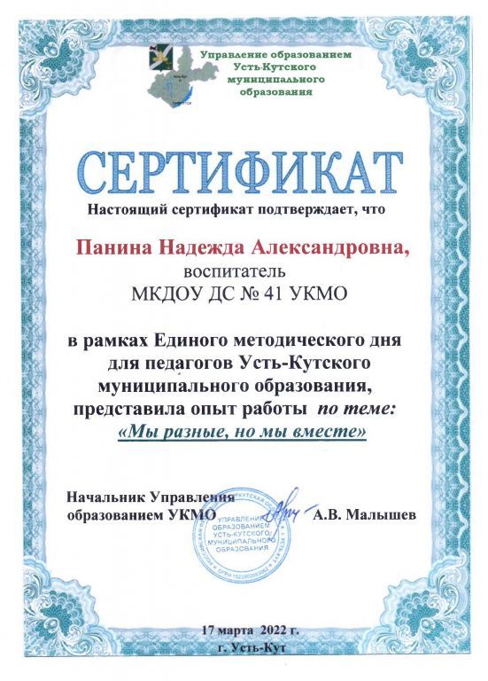 Сертификат Опыт работы по теме Мы разные, но мы вместе.jpg